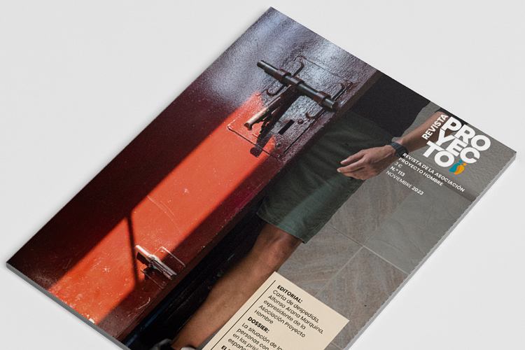 REVISTA PROYECTO 113