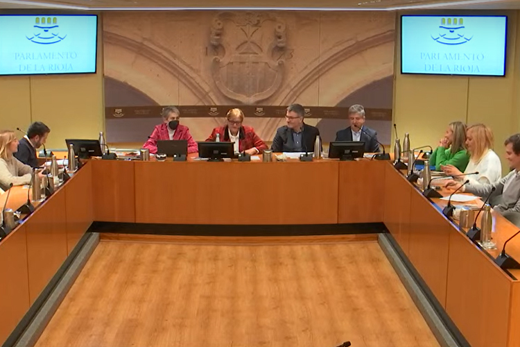 PROYECTO HOMBRE LA RIOJA APORTA EN EL PARLAMENTO DE LA RIOJA SUS CONOCIMIENTOS SOBRE EL IMPACTO DE LA TECNOLOGÍA EN LA INFANCIA Y ADOLESCENCIA